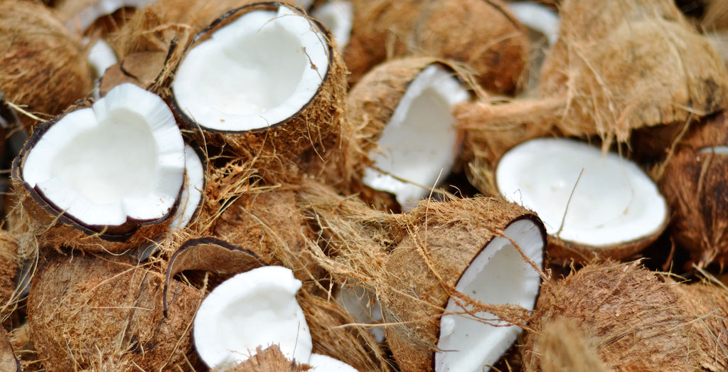 Coconut Shells 