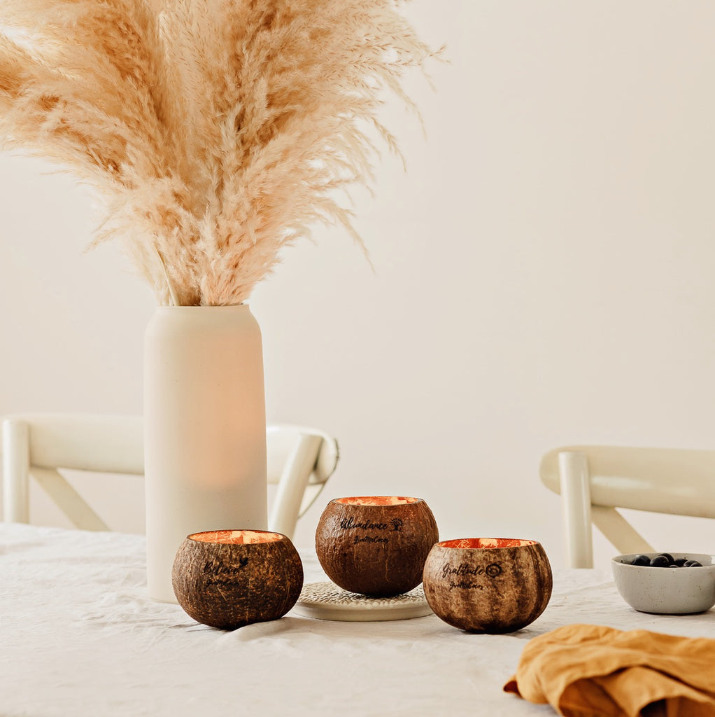 How to Repurpose your Coconut Shells